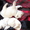 Клубные щенки лабрадор ретривера! - Изображение #3, Объявление #207855