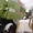 зерноуборочный комбайн Claas mega-218 - Изображение #5, Объявление #791934