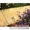 Плитка тротуарная под дерево армированая - Изображение #3, Объявление #950890