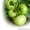 Семена Китано. Предлагаем купить семена томата KS 10 F1 - Изображение #2, Объявление #1214358