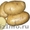 продам семенной картофель из Белоруссии в Астрахани - Изображение #2, Объявление #1315243