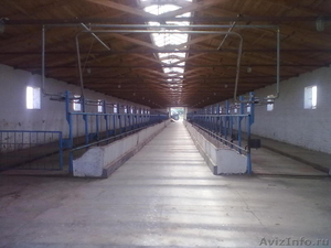Продается животноводческая ферма 30 км от Астрахани - Изображение #1, Объявление #118303