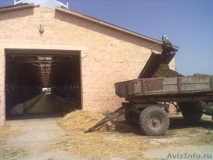 Продается животноводческая ферма 30 км от Астрахани - Изображение #8, Объявление #118303
