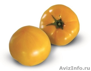 Семена Китано. Предлагаем купить семена томата KS 10 F1 - Изображение #1, Объявление #1214358