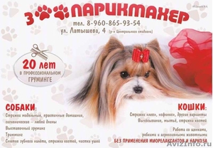 Стрижка собак и кошек в Астрахани - Изображение #1, Объявление #1382206