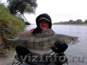 Рыбалка, охота, отдых в Астрахани - Изображение #2, Объявление #1515654